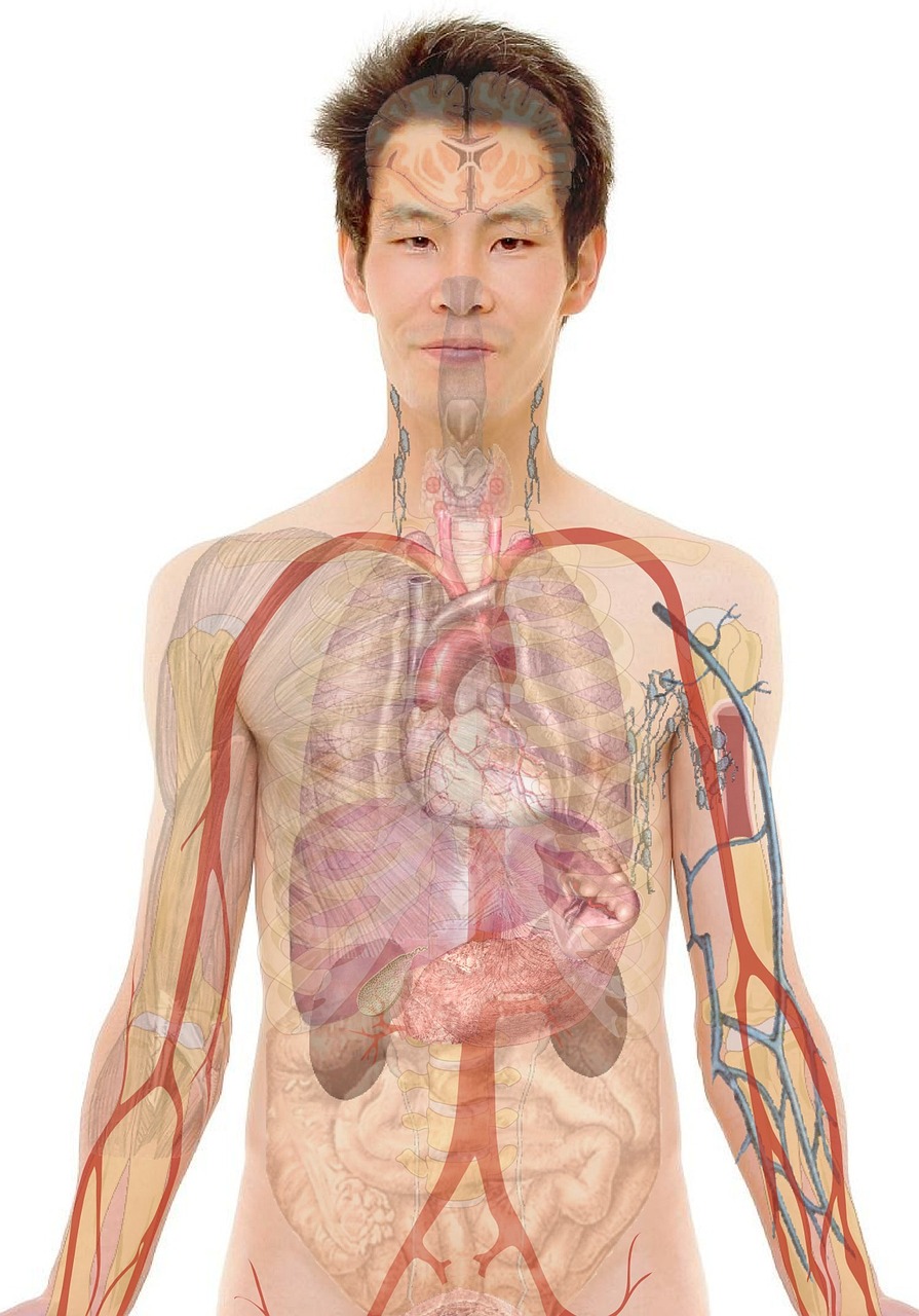 You are currently viewing Quels vêtements porter quand on a une morphologie en A ?