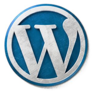 Lire la suite à propos de l’article Que faire si mon site WordPress est lent ?